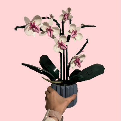 Orchid image