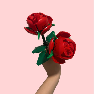 Roses image0