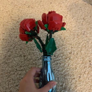 Roses image1