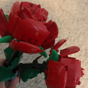 Roses image3