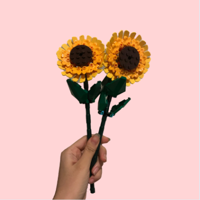 Sunflowers image